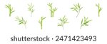 Bamboo Green Stalk or Branch with Leaf Vector Set