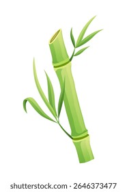 Bamboo green stalk, icon. Stem with leaf isolated on white background. Eco design of stick bamboo with foliage or leaves, vector illustration