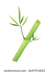 Bamboo green stalk, icon. Stem with leaf isolated on white background. Eco design of stick bamboo with foliage or leaves, vector illustration