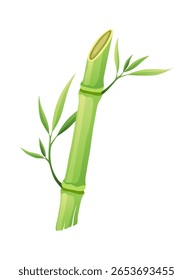 Bamboo green stalk, icon. Stem with leaf isolated on white background. Eco design of stick bamboo with foliage or leaves, vector illustration