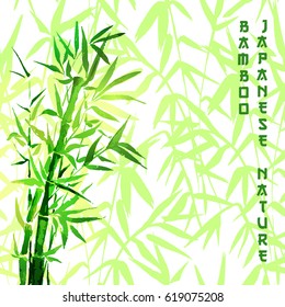 Bamboo green tree japanese plant or tree. Traditional sumi painting vector illustration for wallpaper or healthy therapy cosmetic products design