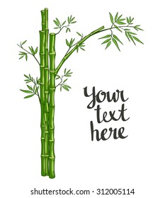 Bamboo green vector illustration