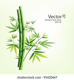 Bamboo Green Vector Illustration