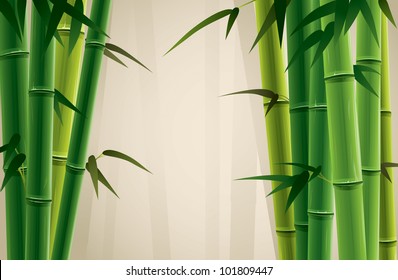 Bamboo Grove