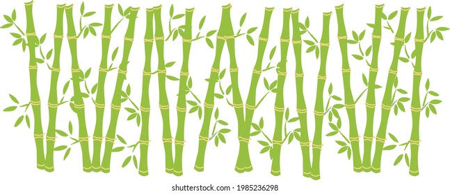 Bamboo grove background illustration Japanese style Tanabata New Year's card material