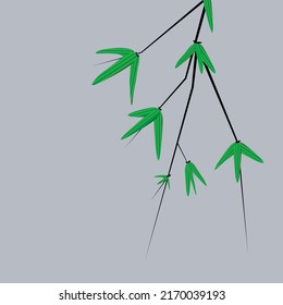 Bamboo grove for the background symbolizes a clean planet. Bamboo branch.