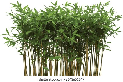 Elementos de bosque de bambu, Phyllostachys reticulata e Phyllostachys aureosulcata spectabilis, ilustração de vetor de recorte, planta de paisagem oriental, folhas verdes exuberantes, gráfico de eco-decoração.