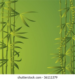 bamboo growth in china, vector summer illustration