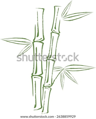Bamboo grunge style. Bamboo tree and leaves on white background.