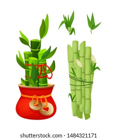Bamboo happiness in a pot. Elements for Chinese traditional Happy New Year vector illustration on white background