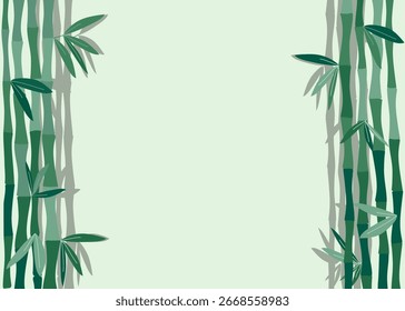Bambú, fondo Horizontal con subgrupos y hojas en blanco. Anuncio con espacio para texto. Planta, fondo de la naturaleza.