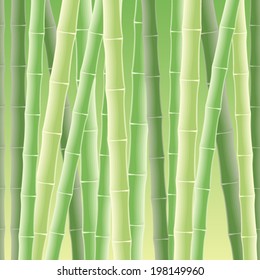 Bamboo horizontal seamless pattern vector illustration
