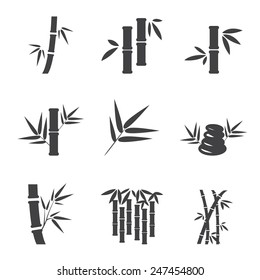 bamboo icon