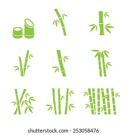 Bamboo Icon