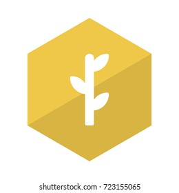 bamboo icon