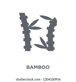 Bamboo icon. Bamboo design concept from Fruit and vegetables collection. Simple element vector illustration on white background.