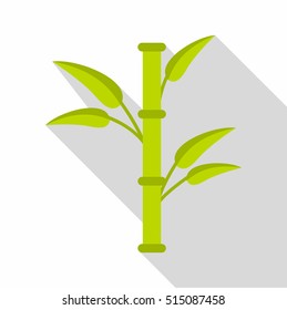 Bamboo icon. Flat illustration of bamboo vector icon for web design