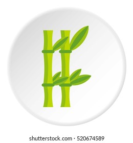 Bamboo icon. Flat illustration of bamboo vector icon for web