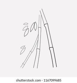 Bamboo icon line element. Vector illustration of bamboo icon line isolated on clean background for your web mobile app logo design.