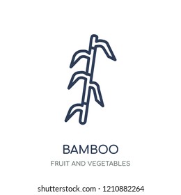 Bamboo icon. Bamboo linear symbol design from Fruit and vegetables collection. Simple outline element vector illustration on white background.