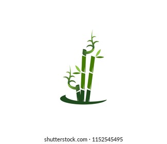 Bamboo icon spa logo design vector illustration