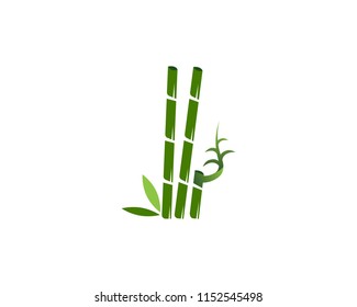 Bamboo icon spa logo design vector illustration