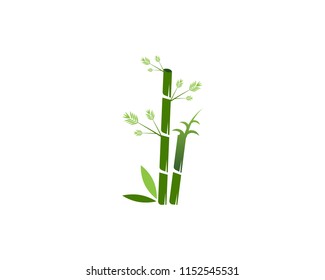 Bamboo icon spa logo design vector illustration