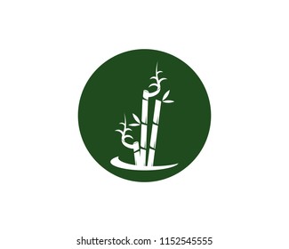 Bamboo icon spa logo design vector illustration