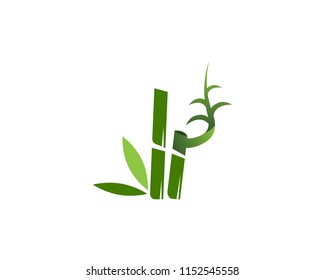 Bamboo icon spa logo design vector illustration