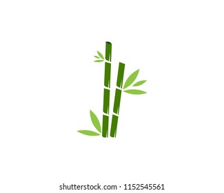 Bamboo icon spa logo design vector illustration