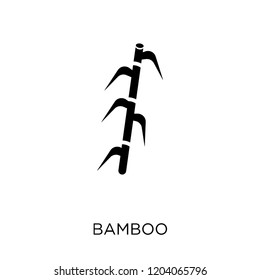 Bamboo icon. Bamboo symbol design from Fruit and vegetables collection. Simple element vector illustration on white background.