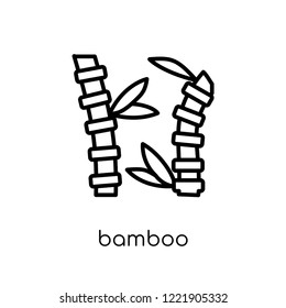 bamboo icon. Trendy modern flat linear vector bamboo icon on white background from thin line Fruit and vegetables collection, outline vector illustration