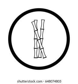 Bamboo icon vector