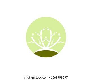 Bamboo icon vector illustration