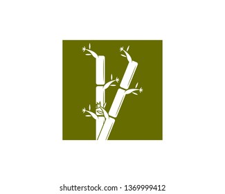 Bamboo icon vector illustration