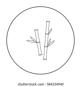 Bamboo icon of vector illustration for web and mobile