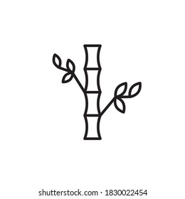 bamboo icon vector line design. isolated on white background