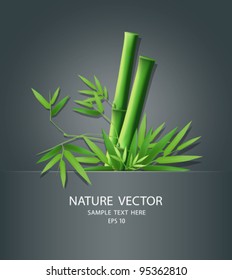 Bamboo idea in package, vector illustration