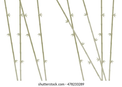 bamboo illustration