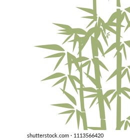 Bamboo illustration. Design for prints, asian spa and massage, cosmetics package, materials.