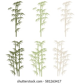 Bamboo illustration.  Design for prints, asian spa and massage, cosmetics package, materials. Horizontal background with copy space. Bamboo forest set. Nature. Japan., China. Plant. 