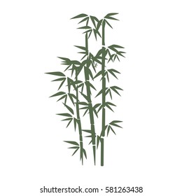 Bamboo illustration.  Design for prints, asian spa and massage, cosmetics package, materials. Horizontal background with copy space. Bamboo forest set. Nature. Japan., China. Plant. 