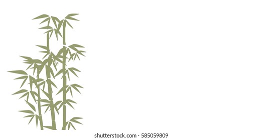 Bamboo illustration.  Design for prints, asian spa and massage, cosmetics package, materials. Horizontal background with copy space. Bamboo forest set. Nature. Japan., China. Plant. 