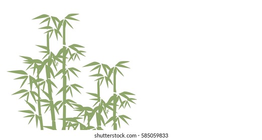 Bamboo illustration.  Design for prints, asian spa and massage, cosmetics package, materials. Horizontal background with copy space. Bamboo forest set. Nature. Japan., China. Plant. 