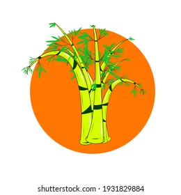 Bamboo illustration for display and printing design