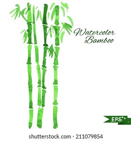 Bamboo illustration isolated on white. Watercolor drawing.