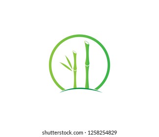 Bamboo illustration logo vector template 