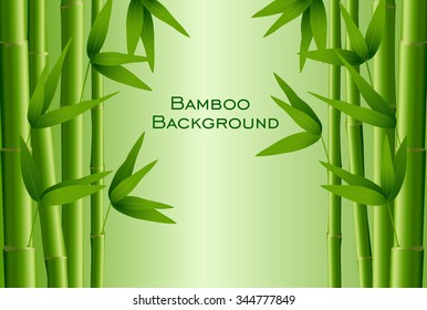 Bamboo illustration, vector