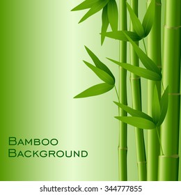 Bamboo illustration, vector
