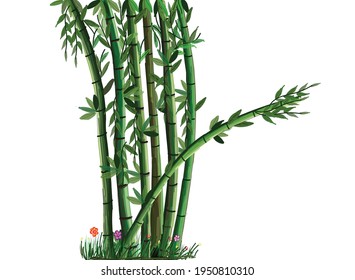 Bamboo illustration , Vector art of bamboo